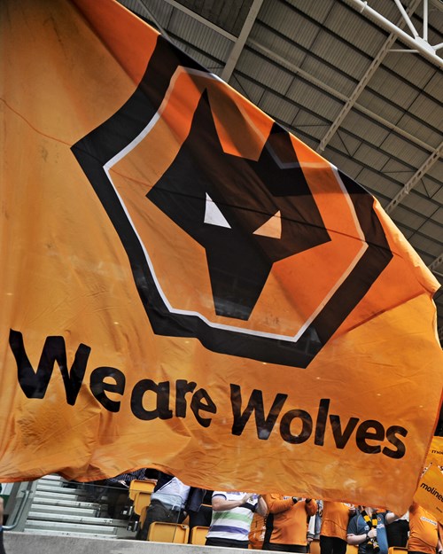 We are Wolves flag